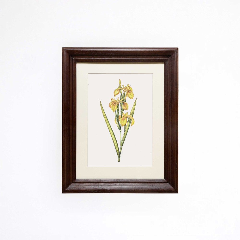 Ochre Iris Bouquet Printed Artwork
