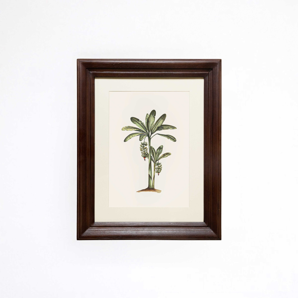 Verdant Banana Trees Printed Artwork