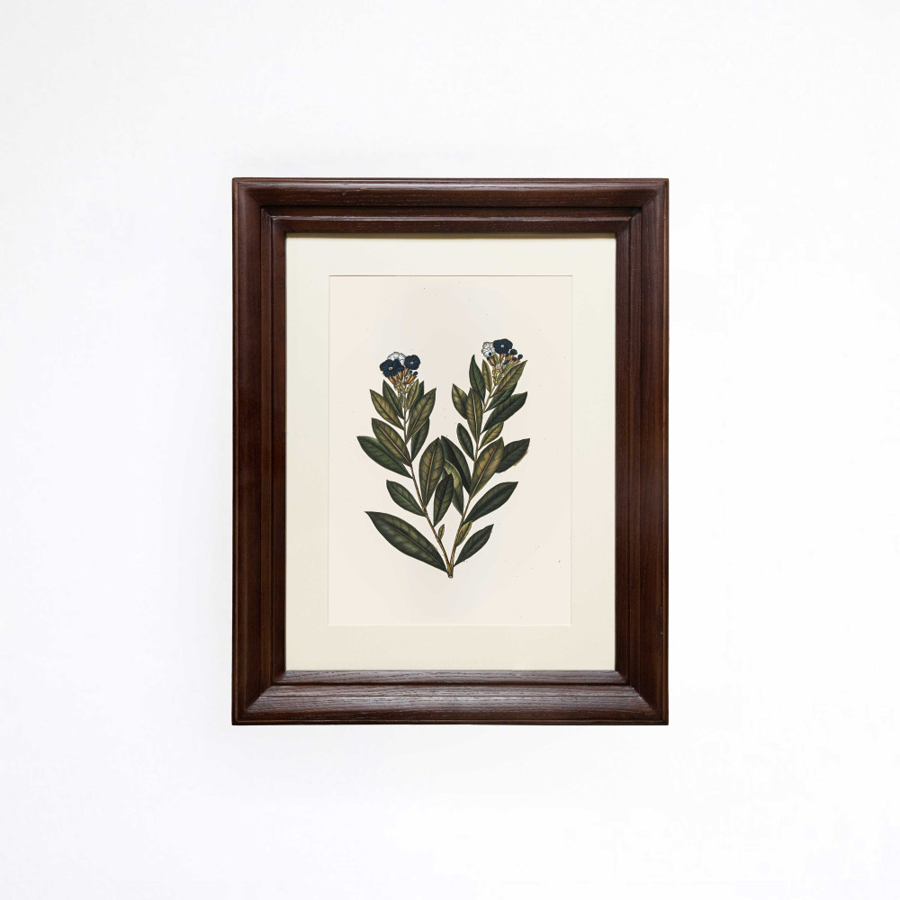 The Shifting Raintree Printed Artwork