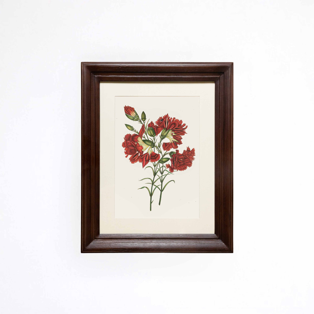 The Crimson Carnation Printed Artwork