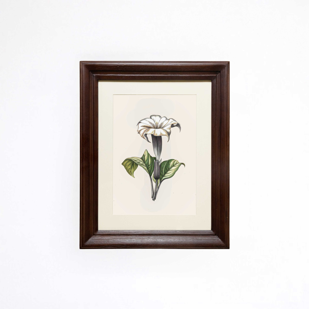 Moonflower Serenade Printed Artwork