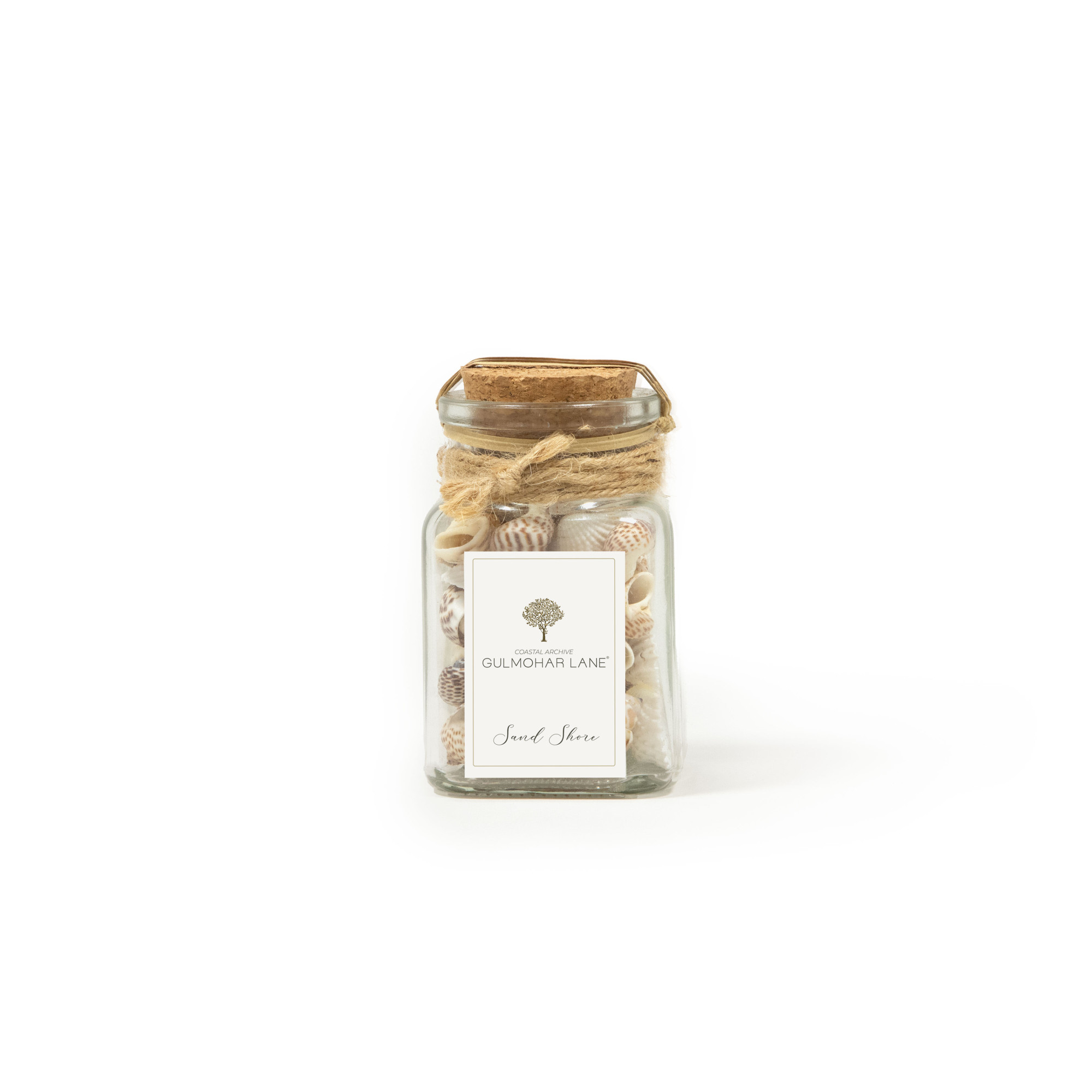SAND SHORE DECORATIVE SEASHELLS-SMALL