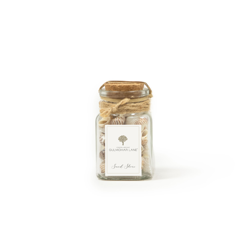 Sand Shore Decorative Seashells-Small