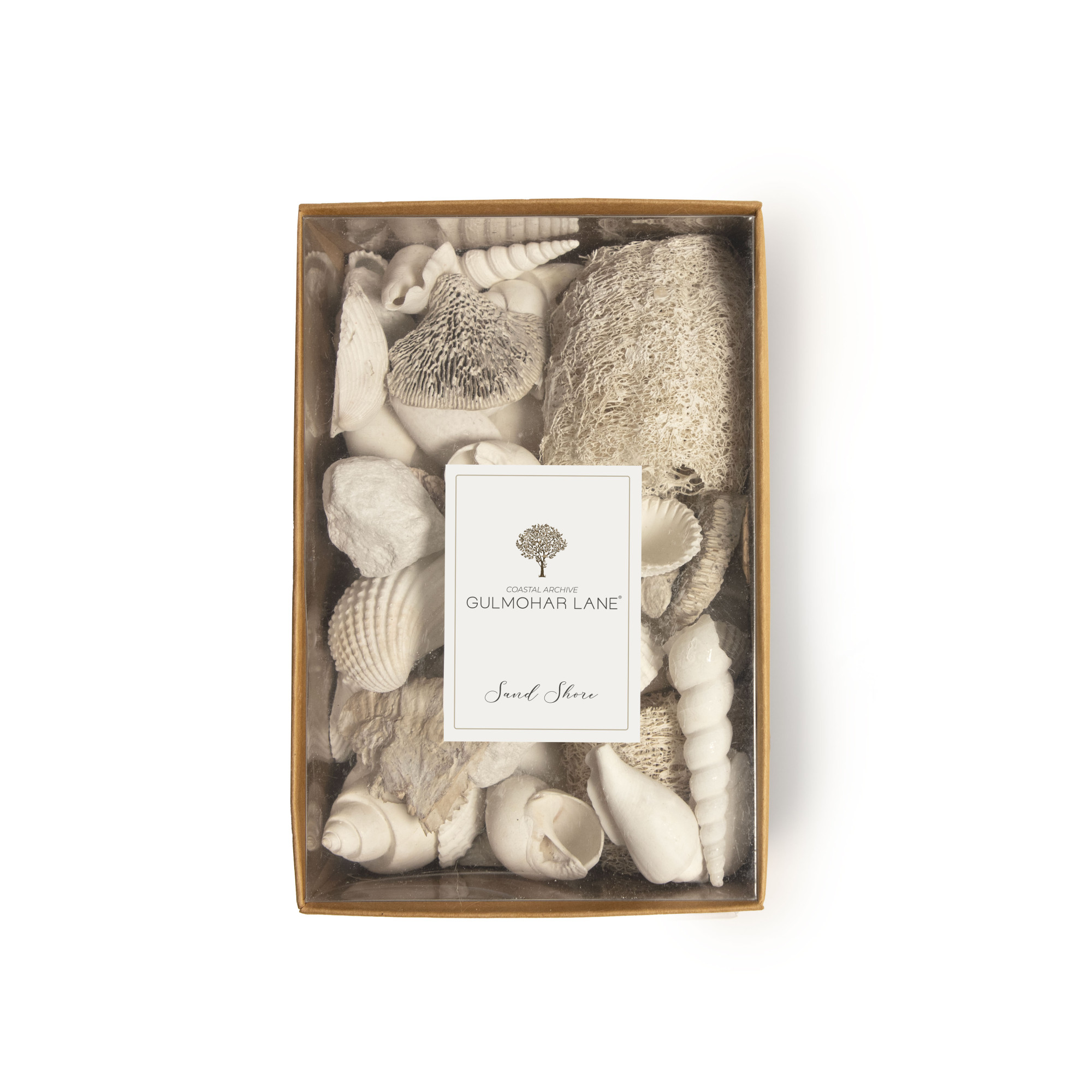 SAND SHORE DECORATIVE SEASHELLS-LARGE