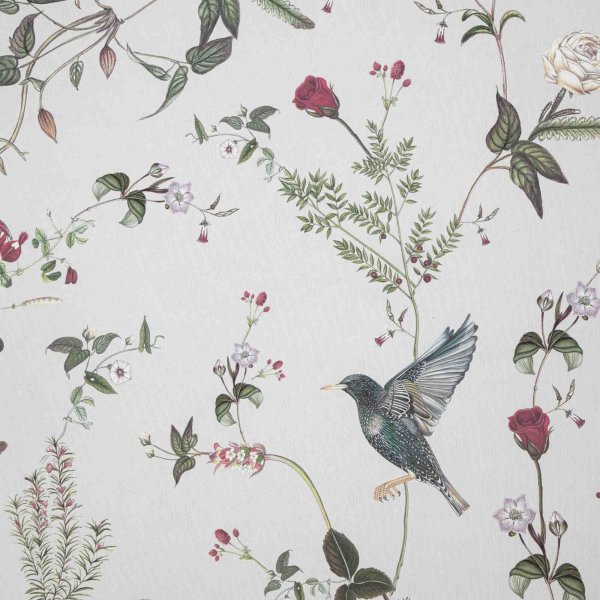 Starlings at the Rose Garden Day - Wallpaper