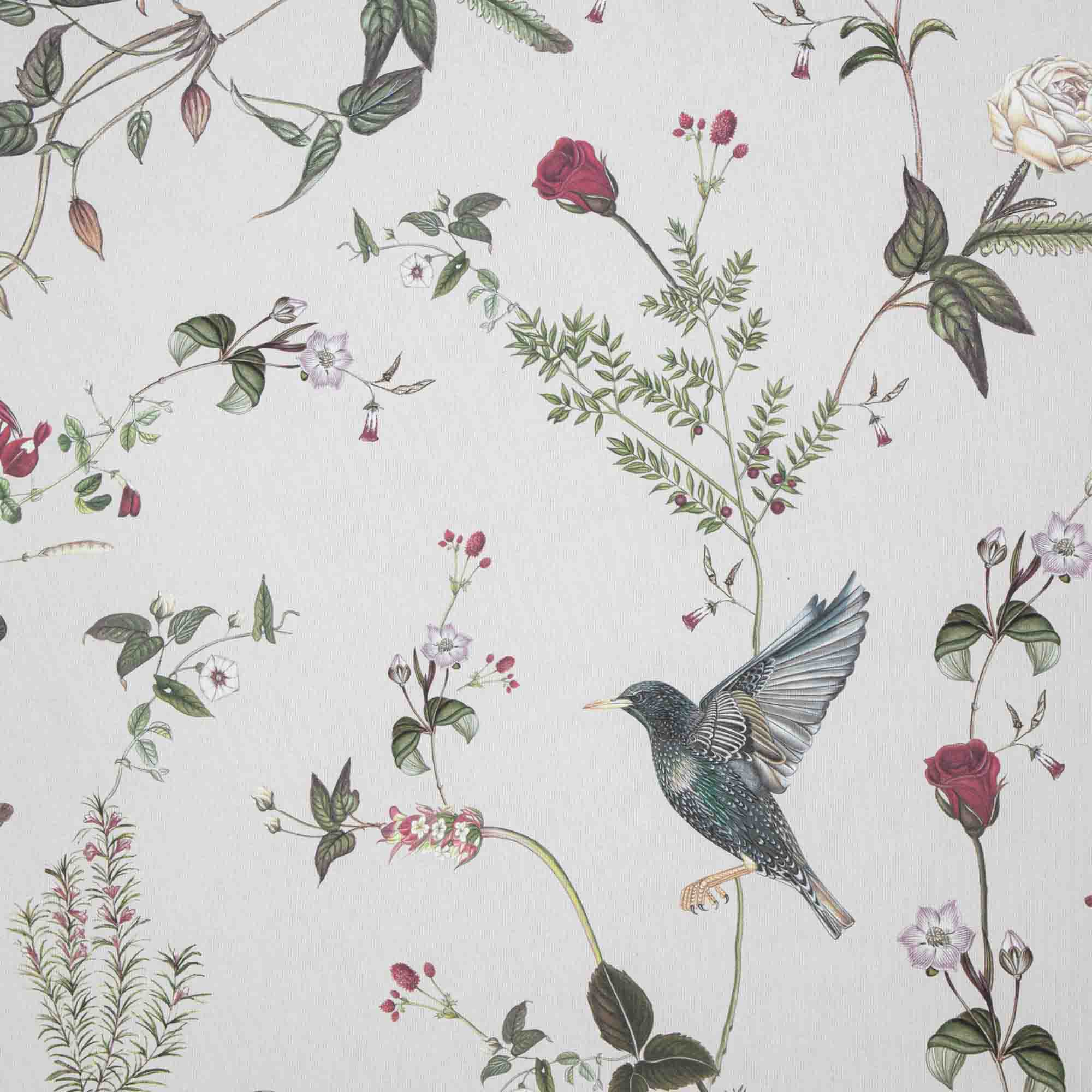 Starlings at the Rose Garden Day - Wallpaper Swatch 18cm x 25cm