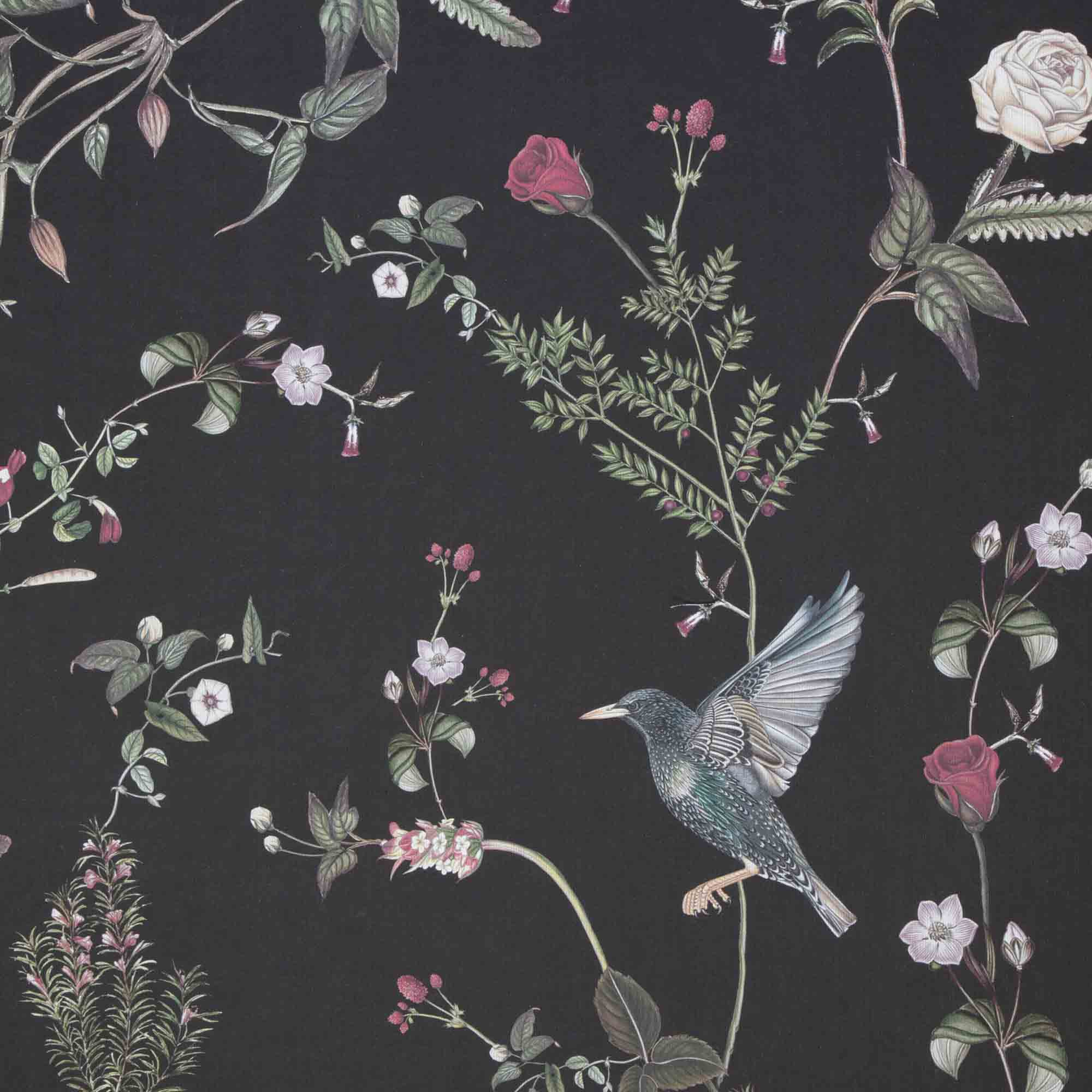 STARLINGS AT ROSE GARDEN NIGHT - WALLPAPER