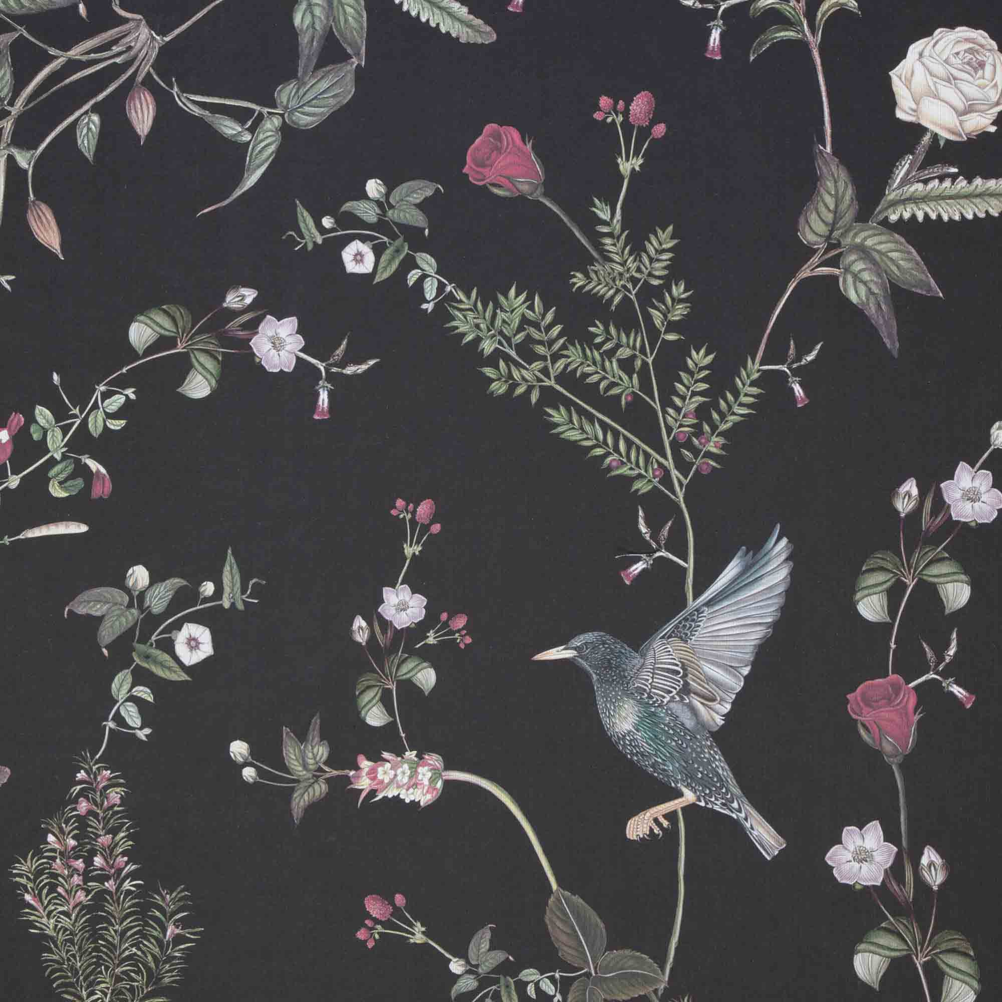 Starlings at Rose Garden Night - Wallpaper Swatch 18cm x 25cm