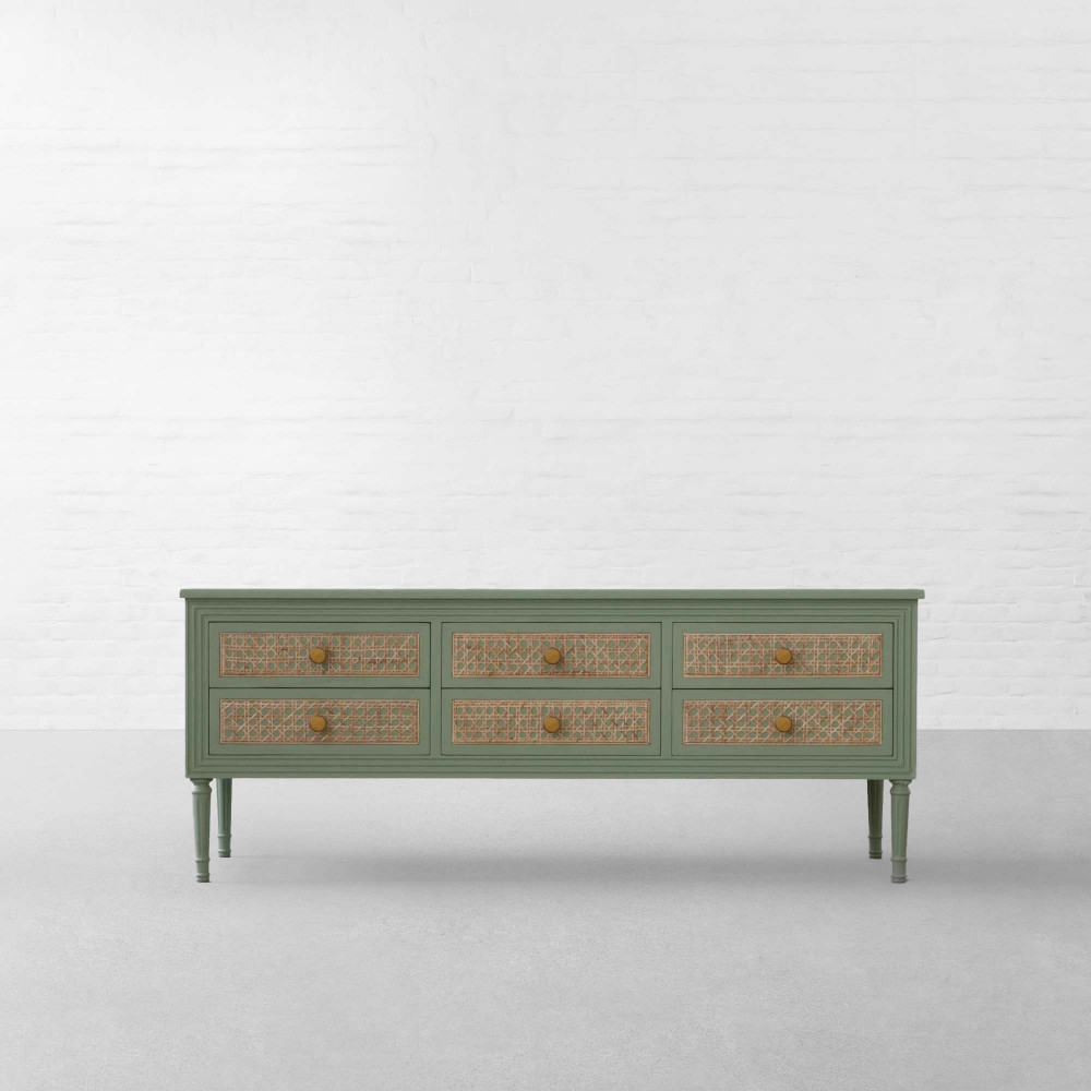 Summer Garden TV Unit