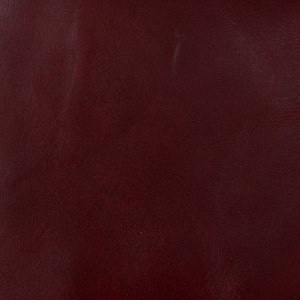 Tango Brandy Italian Leather (Swatch)