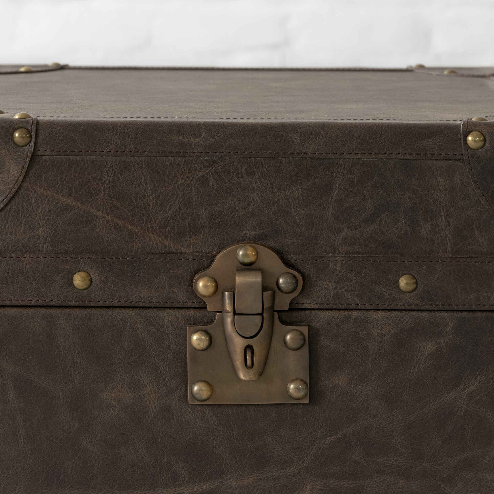 Udaipur Leather Trunk Side Table