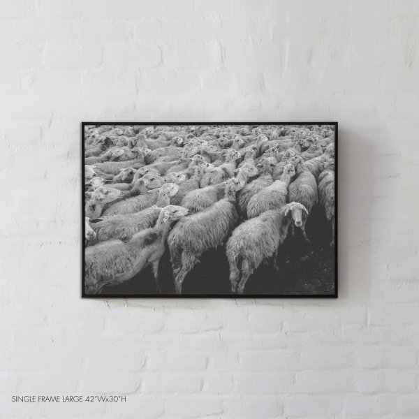 Italian Goats, The isolated town of Sicily, Borgo Lupo