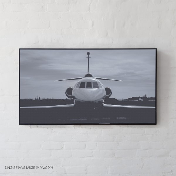 The Black and White Dassault Falcon 900B