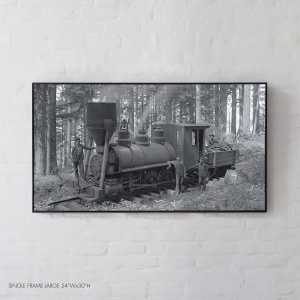 20th Century Locomotive Steam Engine, amongst the woods